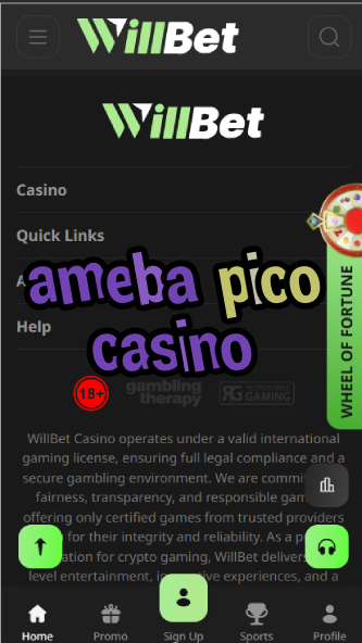Ameba Pico Casino - Japanese Virtual Casino-casinoorder.vip