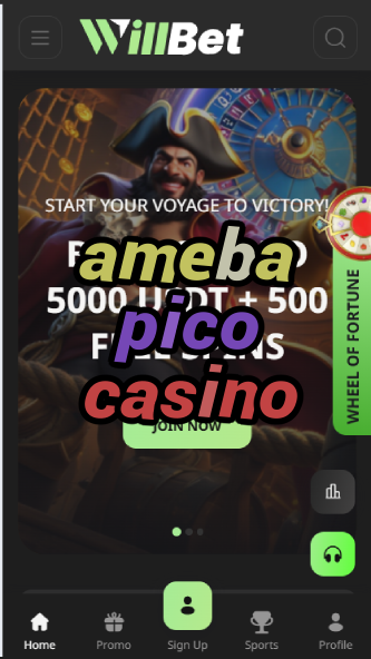 Ameba Pico Casino - Japanese Virtual Casino-casinoorder.vip